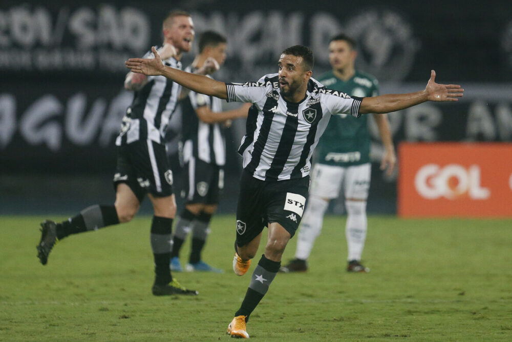 Caio Alexandre. Botafogo x Palmeiras pelo Campeonato Brasileiro no Estadio Nilton Santos. 08 de Outubro de 2020, Rio de Janeiro, RJ, Brasil.